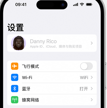 肥城appleID维修服务iPhone设置中Apple ID显示为灰色无法使用 