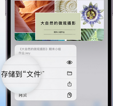 肥城apple维修中心分享iPhone文件应用中存储和找到下载文件