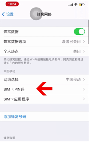 肥城苹果14维修网分享如何给iPhone14的SIM卡设置密码 