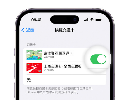 肥城apple维修点分享iPhone上更换Apple Pay快捷交通卡手绘卡面 