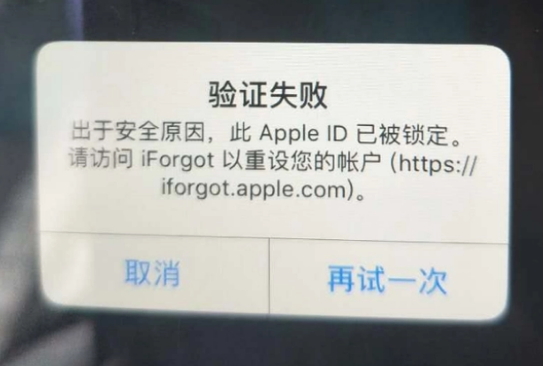 肥城iPhone维修分享iPhone上正常登录或使用AppleID怎么办 