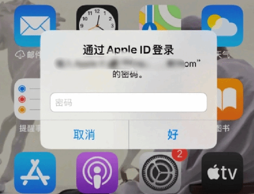 肥城苹果设备维修分享无故多次要求输入AppleID密码怎么办 