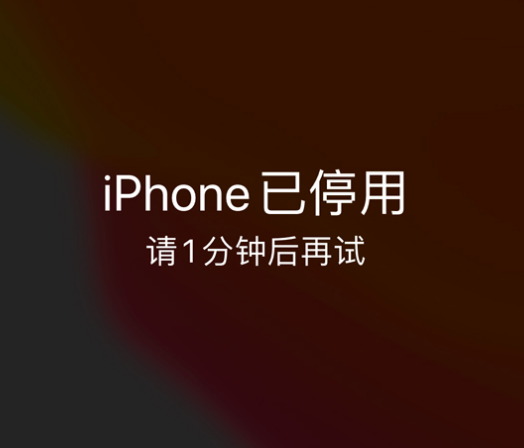 肥城苹果手机维修分享:iPhone 显示“不可用”或“已停用”怎么办？还能保留数据吗？ 