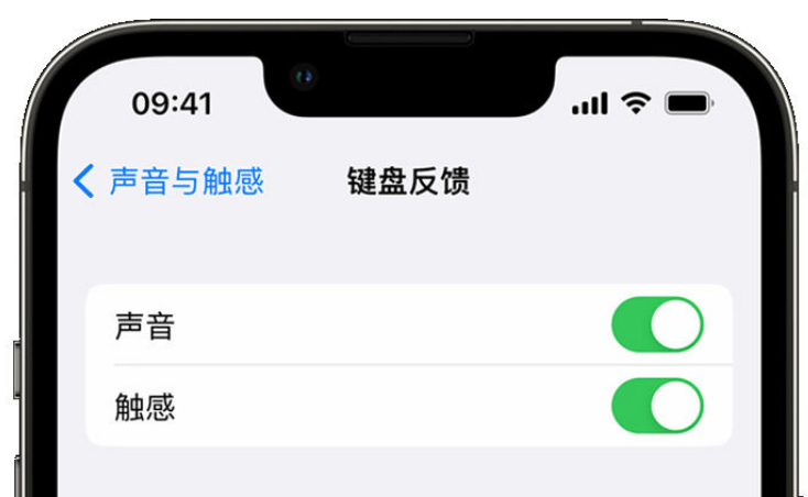 肥城苹果手机维修分享iPhone 14触感键盘使用方法 