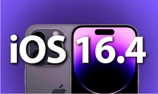 肥城苹果14维修分享：iPhone14可以升级iOS16.4beta2吗？ 