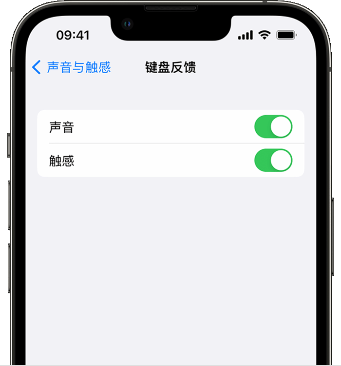 肥城苹果14维修店分享如何在 iPhone 14 机型中使用触感键盘 