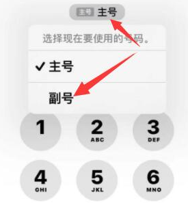 肥城苹果14维修店分享iPhone 14 Pro Max使用副卡打电话的方法 