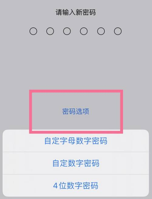 肥城苹果14维修分享iPhone 14plus设置密码的方法 