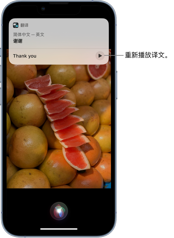 肥城苹果14维修分享 iPhone 14 机型中使用 Siri：了解 Siri 能帮你做什么 