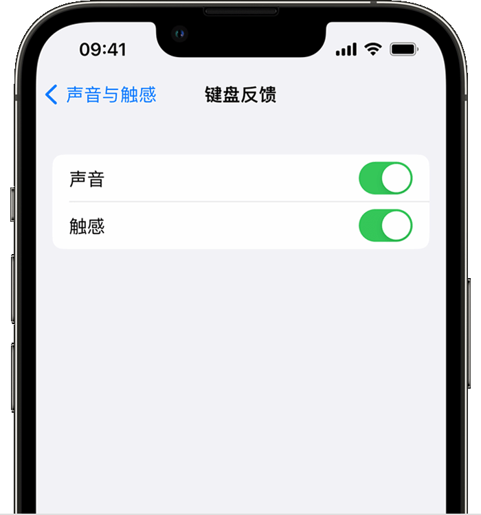 肥城苹果14维修分享iPhone 14 系列机型如何开启键盘声音或触感反馈 