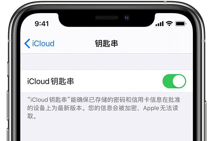 肥城苹果手机维修分享在 iPhone 上开启 iCloud 钥匙串之后会储存哪些信息 