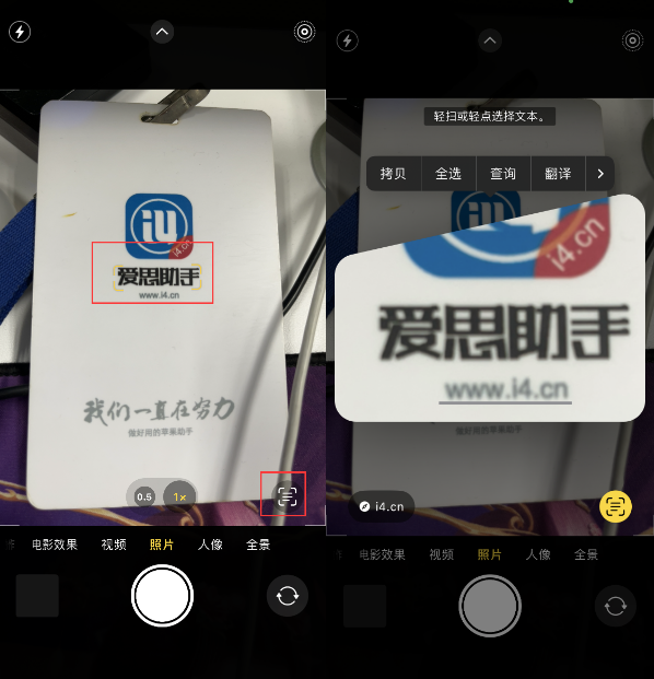 肥城苹果手机维修分享升级iOS 16后如何通过相机翻译文本 