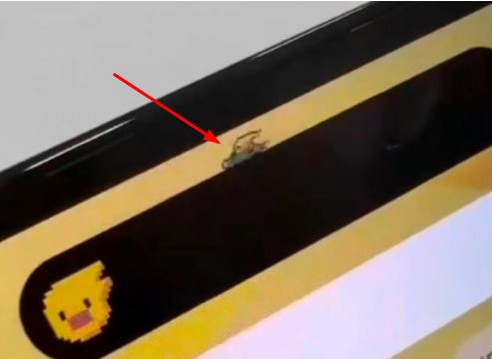 肥城苹果14维修分享iPhone 14 Pro Max灵动岛怎么养宠物 