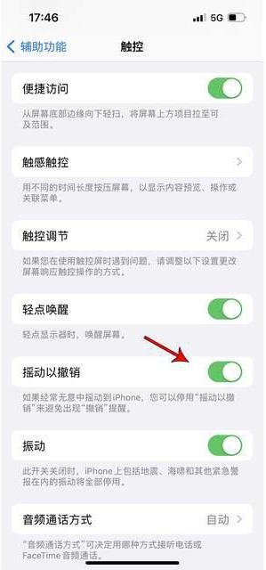 肥城苹果手机维修分享iPhone手机如何设置摇一摇删除文字 