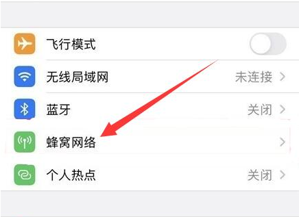 肥城苹果手机维修分享iPhone手机4G网络怎么设置成5G网络 