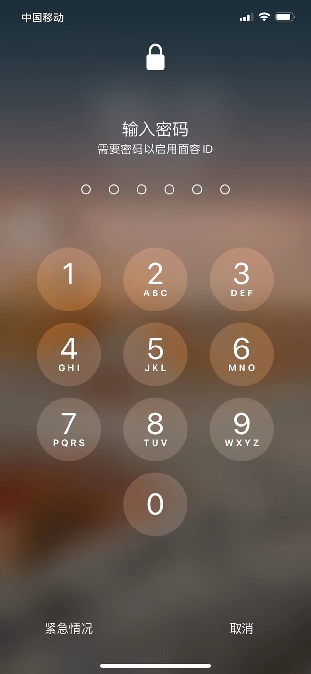 肥城苹果13维修分享iPhone 13加强锁屏功能有什么用 