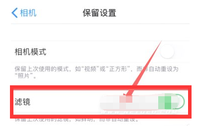 肥城苹果13维修分享iPhone13拍照有绿点是怎么回事 