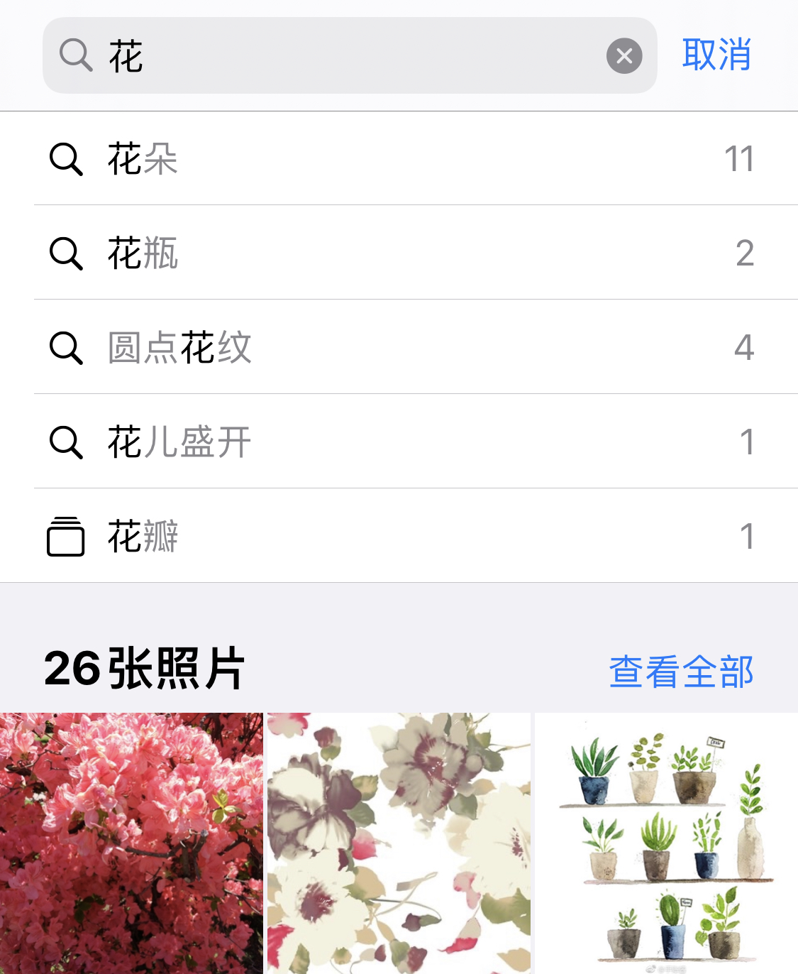 肥城苹果手机维修分享iPhone 小技巧 
