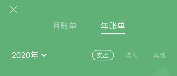 肥城苹果手机维修分享如何在 iPhone 上查看支付宝和微信年支出账单 